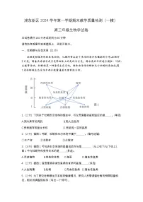 上海市浦东新区2024-2025高三一模教学质量检测生物试题及答案
