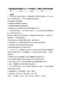 广西壮族自治区贵港市2024-2025学年高三上学期12月月考生物试卷(含答案)