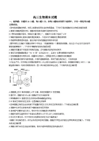 吉林省梅河口市第五中学2025届高三上学期期末考试生物试卷（Word版附答案）