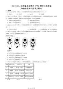 2022-2024北京重点校高二（下）期末真题生物汇编：细胞的基本结构章节综合