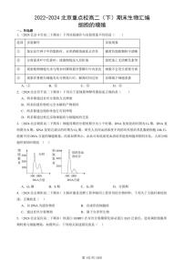 2022-2024北京重点校高二（下）期末真题生物汇编：细胞的增殖