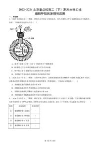 2022-2024北京重点校高二（下）期末真题生物汇编：细胞呼吸的原理和应用