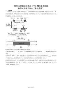 2024北京重点校高二（下）期末真题生物汇编：基因工程章节综合（非选择题）