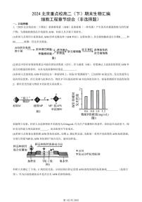 2024北京重点校高二（下）期末真题生物汇编：细胞工程章节综合（非选择题）