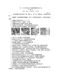江苏省盐城市、南京市2024-2025学年高三上学期期末调研测试生物试题