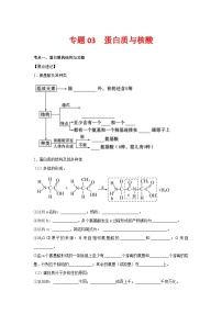 专题03 蛋白质与核酸-【提分讲练】最新高考生物二轮复习专题解读和分层练习