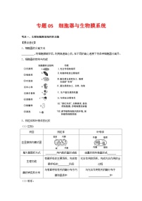 专题05 细胞器与生物膜系统-【提分讲练】最新高考生物二轮复习专题解读和分层练习