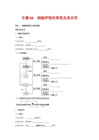 专题08 细胞呼吸的原理及其应用-【提分讲练】最新高考生物二轮复习专题解读和分层练习