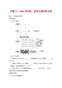 专题17 DNA的结构、复制与基因的本质-【提分讲练】最新高考生物二轮复习专题解读和分层练习