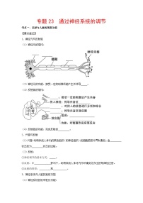 专题23 通过神经系统的调节-【提分讲练】最新高考生物二轮复习专题解读和分层练习