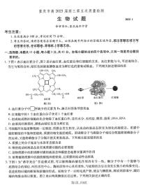 重庆市南开中学高2025届高三上学期1月第五次质量检测生物+答案