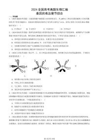 2024全国高考真题生物汇编：基因的表达章节综合