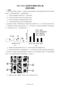 2022-2024全国高考真题生物汇编：细胞的增殖