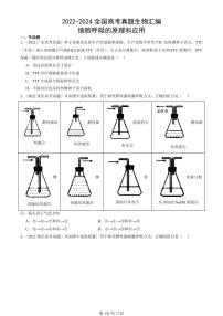 2022-2024全国高考真题生物汇编：细胞呼吸的原理和应用