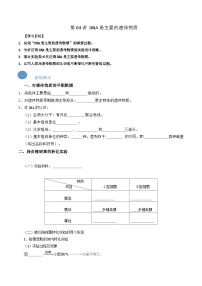 预习第04讲 DNA是主要的遗传物质-高一生物寒假衔接预复习讲练（人教版）