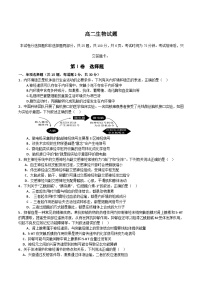 吉林省“BEST合作体”2024-2025学年高二上学期期末考试生物试卷（Word版附答案）