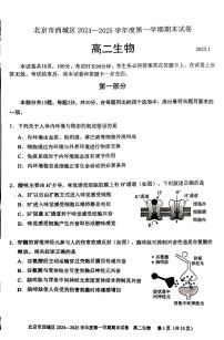 2025北京西城高二（上）期末生物试卷