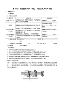 (人教版)2025年高一生物寒假衔接讲练 (复习)第02讲 细胞膜的成分、结构、功能和物质出入细胞（2份，原卷版+解析版）