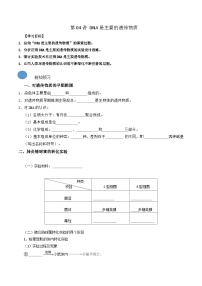 (人教版)2025年高一生物寒假衔接讲练 (预习)第04讲 DNA是主要的遗传物质（2份，原卷版+解析版）