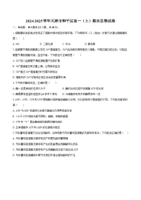 2024-2025学年天津市和平区高一（上）期末生物试卷