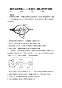 重庆市金太阳联盟2024-2025学年高二上学期12月月考生物试卷(含答案)