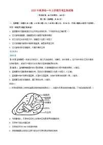 福建省泉州市泉港区2023_2024学年高一生物上学期12月月考试题含解析