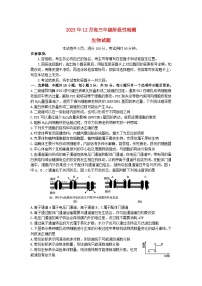 山东省2024届高三生物上学期12月阶段性检测试题