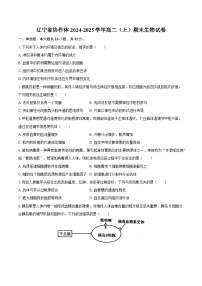 辽宁省协作体2024-2025学年高二（上）期末生物试卷（含解析）