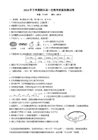 湖南省浏阳市2024-2025学年高一上学期期末考试生物试卷（Word版附答案）