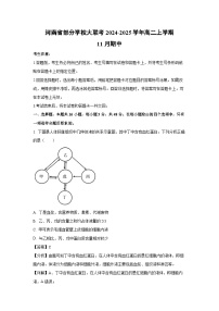 2024~2025学年河南省部分学校大联考高二上学期11月期中生物试卷（解析版）