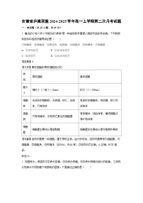 2024~2025学年安徽省庐巢联盟高一上学期第二次月考生物试卷（解析版）