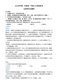 浙江省四校2024-2025学年高一上学期12月月考生物试卷（Word版附解析）