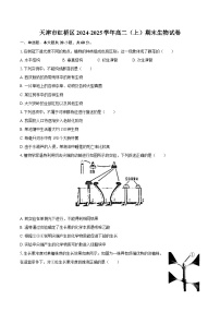 天津市红桥区2024-2025学年高二（上）期末生物试卷-