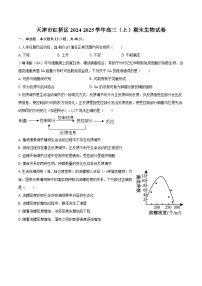 天津市红桥区2024-2025学年高三（上）期末生物试卷-