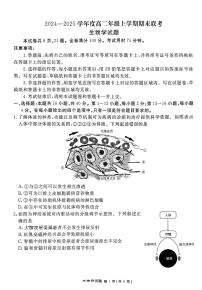广东省18校联考2024-2025学年高一上学期1月期末生物试题