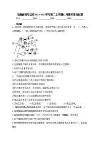 河南省驻马店市2024-2025学年高二上学期12月期末生物试卷(含答案)