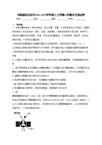 河南省驻马店市2024-2025学年高三上学期12月期末生物试卷(含答案)