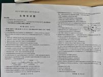 2025届安徽省宿州市高三上学期期末教学质量检测生物试题