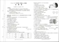 河南省新乡市2024-2025学年高一上学期期末考试生物试卷