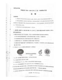 河南省濮阳市2024-2025学年高一上学期1月期末考试生物试题及答案