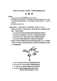 安徽省蚌埠市2025届高三上学期第一次教学质量检查考试（1月） 生物 PDF版含答案