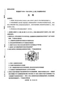 河南普通高中青桐鸣大联考2025届高三上学期期末考试-生物试题+答案