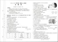 2025新乡高一上学期期末考试生物PDF版无答案