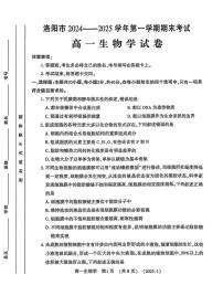 洛阳市2024-2025学年高一上学期期末生物试卷及答案
