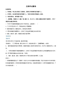 重庆市第一中学2024-2025学年高三上学期12月月考生物试卷（Word版附解析）