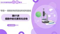 第01讲 细胞中的元素和化合物（上课课件）-2025年高考生物二轮复习（新高考通用）