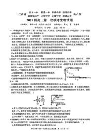 江西省新八校2025届高三高考模拟第一次联考-生物试卷+答案