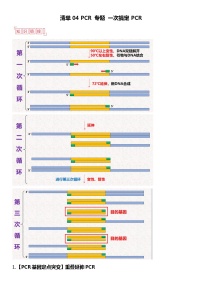 清单04 PCR 专题 一案搞定PCR-备战2025年高考生物二轮热点背练清单（新高考通用）