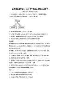 2024-2025学年江苏省宿迁市高二上学期11月期中生物试卷（解析版）
