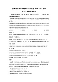 安徽省合肥市普通高中六校联盟2024—2025学年高三上学期期中联考生物试卷（解析版）